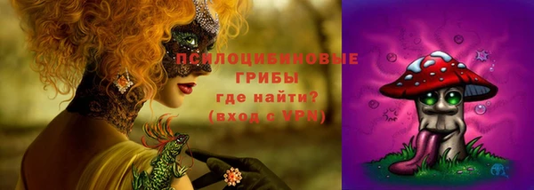 мдпв Майский