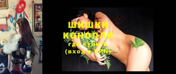 мдпв Майский