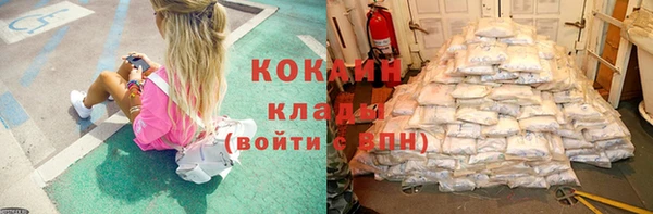 мдпв Майский