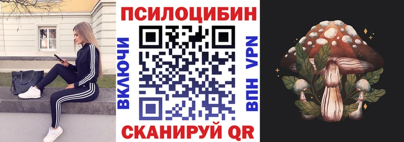 Псилоцибиновые грибы GOLDEN TEACHER  Купить где  Северодвинск 