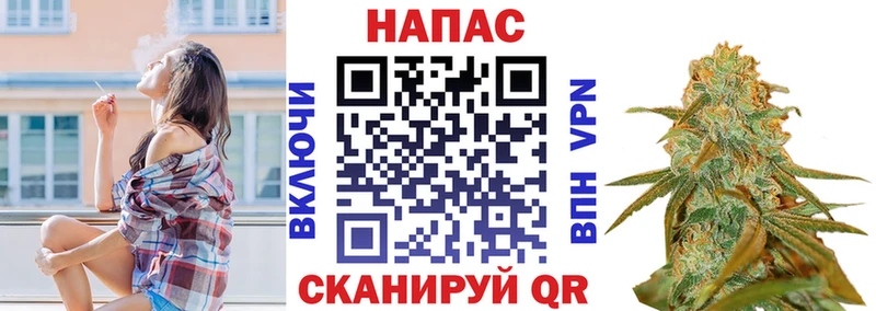 Купить где  Северодвинск  Канабис семена 